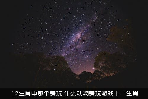 12生肖中那个爱玩？什么动物爱玩游戏十二生肖？