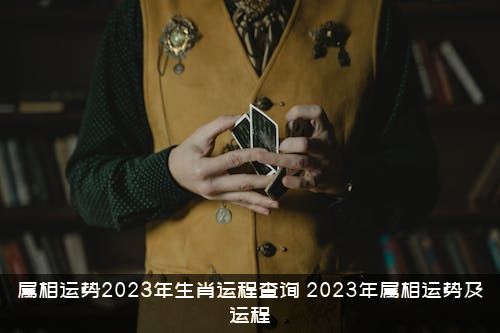 属相运势2023年生肖运程查询（2023年属相运势及运程）