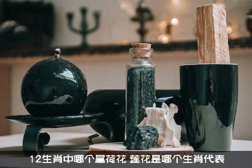 12生肖中哪个属荷花？莲花是哪个生肖代表？