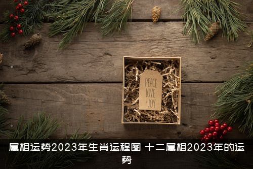 属相运势2023年生肖运程图（十二属相2023年的运势）