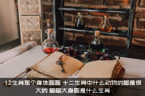 12生肖那个身体圆圆？十二生肖中什么动物的脚是很大的？脚脚大身圆是什么生肖？