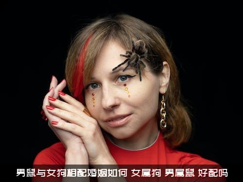 男鼠与女狗相配婚姻如何？女属狗，男属鼠，好配吗？