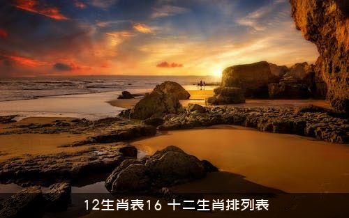 12生肖表16（十二生肖排列表）