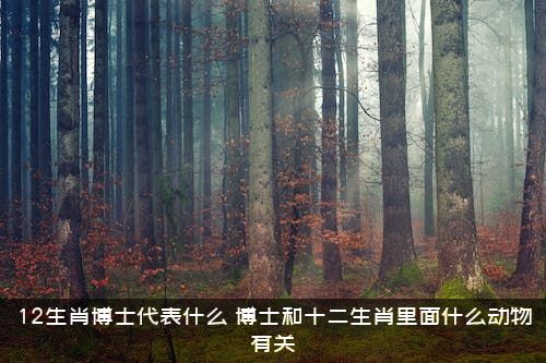 12生肖博士代表什么？博士和十二生肖里面什么动物有关？