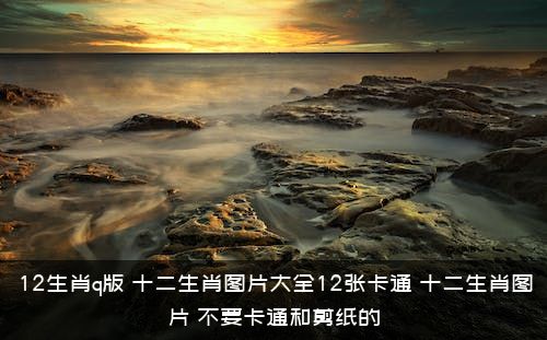 12生肖q版（十二生肖图片大全12张卡通，十二生肖图片(不要卡通和剪纸的)）