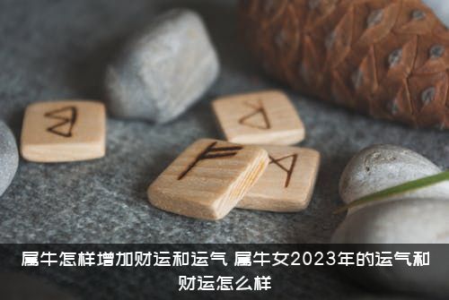 属牛怎样增加财运和运气？属牛女2023年的运气和财运怎么样？