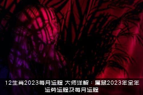 12生肖2023每月运程（大师详解：属鼠2023年全年运势运程及每月运程）