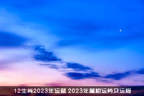 12生肖2023年运鼠（2023年属相运势及运程）