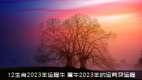 12生肖2023年运程牛（属牛2023年的运势及运程）