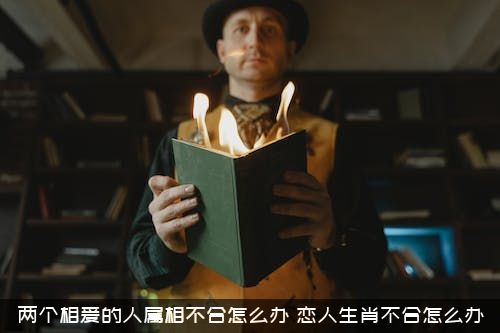 两个相爱的人属相不合怎么办？恋人生肖不合怎么办？