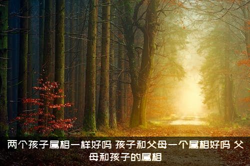 两个孩子属相一样好吗？孩子和父母一个属相好吗，父母和孩子的属相？