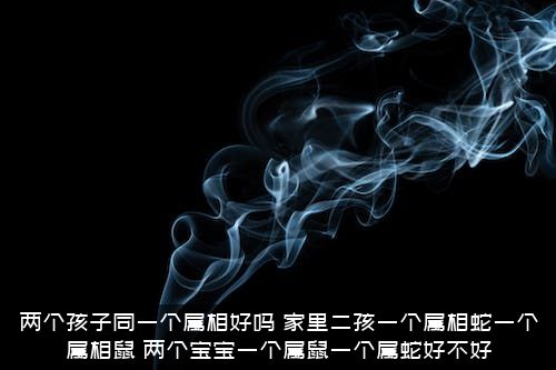 两个孩子同一个属相好吗？家里二孩一个属相蛇一个属相鼠，两个宝宝一个属鼠一个属蛇好不好？