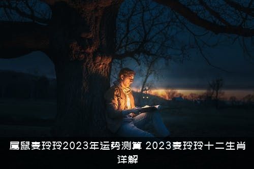 属鼠麦玲玲2023年运势测算（2023麦玲玲十二生肖详解）