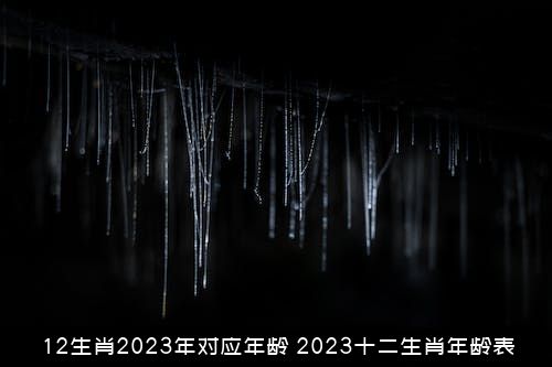 12生肖2023年对应年龄（2023十二生肖年龄表）