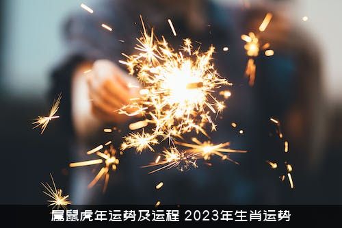 属鼠虎年运势及运程（2022年生肖运势）