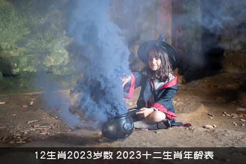 12生肖2023岁数（2023十二生肖年龄表）