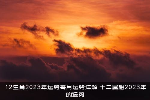 12生肖2023年运势每月运势详解（十二属相2023年的运势）