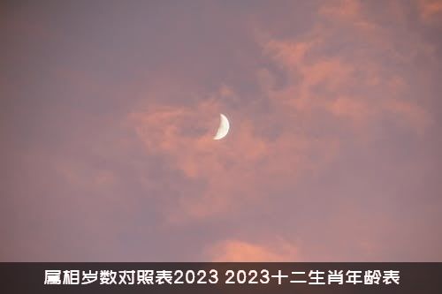 属相岁数对照表2023（2023十二生肖年龄表）