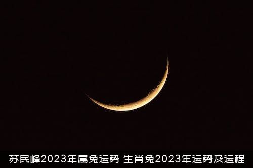 苏民峰2023年属兔运势（生肖兔2023年运势及运程）