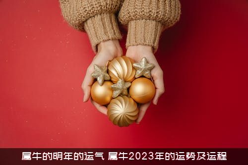 属牛的明年的运气（属牛2023年的运势及运程）