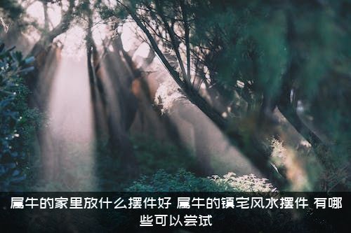 属牛的家里放什么摆件好？属牛的镇宅风水摆件　有哪些可以尝试？