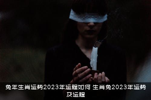 兔年生肖运势2023年运程如何？生肖兔2023年运势及运程