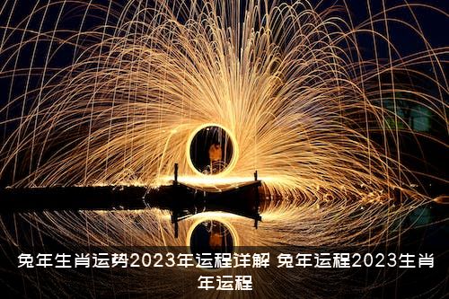 兔年生肖运势2023年运程详解（兔年运程2023生肖年运程）