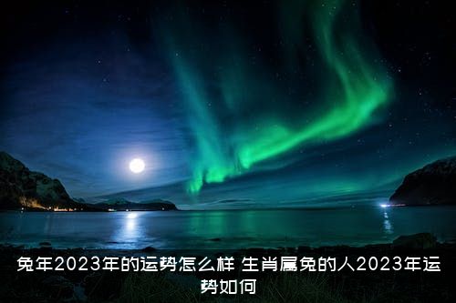 兔年2023年的运势怎么样？生肖属兔的人2023年运势如何？