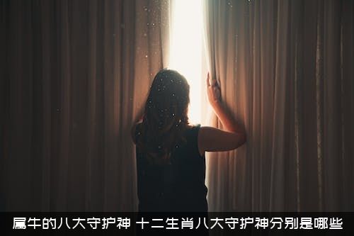 属牛的八大守护神（十二生肖八大守护神分别是哪些）