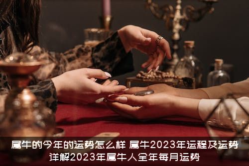 属牛的今年的运势怎么样？属牛2023年运程及运势详解2023年属牛人全年每月运势