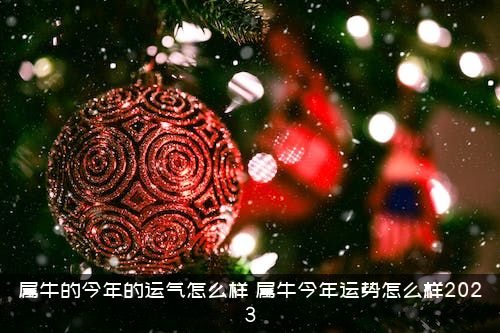 属牛的今年的运气怎么样？属牛今年运势怎么样2023？