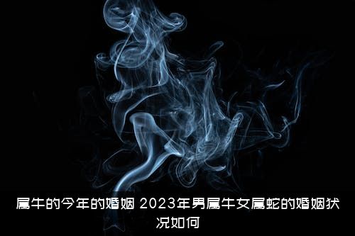 属牛的今年的婚姻（2021年男属牛女属蛇的婚姻状况如何）