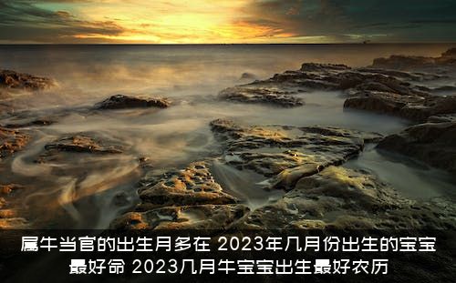 属牛当官的出生月多在（2021年几月份出生的宝宝最好命，2021几月牛宝宝出生最好农历）