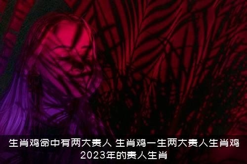 生肖鸡命中有两大贵人（生肖鸡一生两大贵人生肖鸡2022年的贵人生肖）