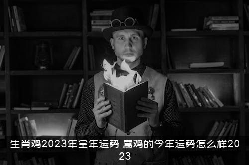 生肖鸡2023年全年运势（属鸡的今年运势怎么样2023）