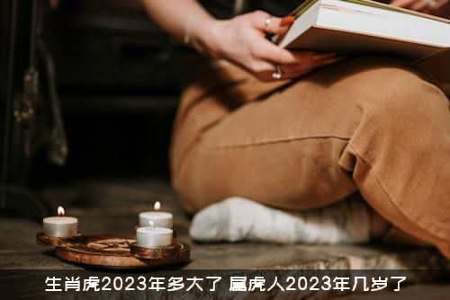 生肖虎2023年多大了（属虎人2023年几岁了）